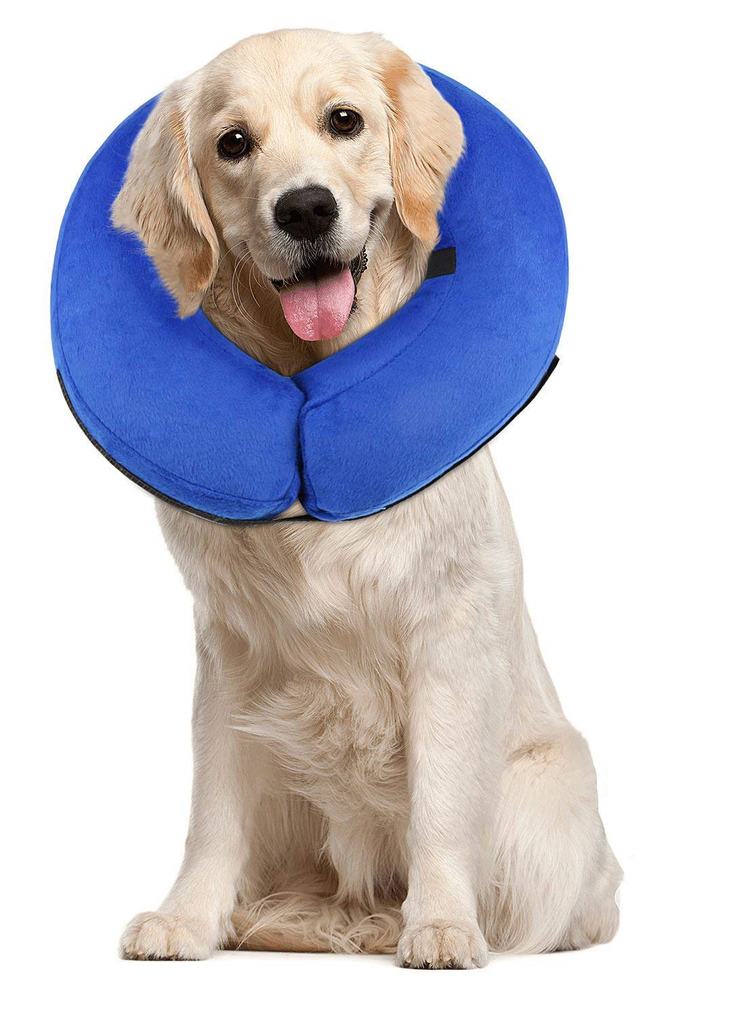 The Best Alternatives to Dog Cones