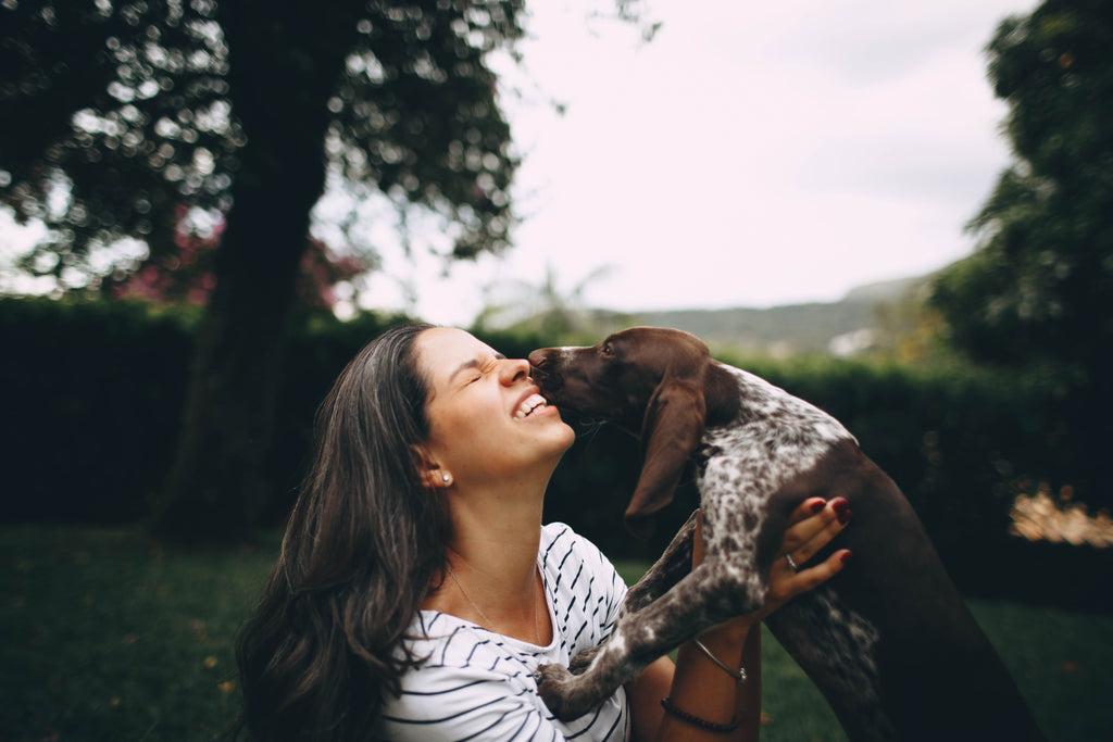 Why Having a Dog is Good for Your Mental Health: The Benefits of Canine Companionship