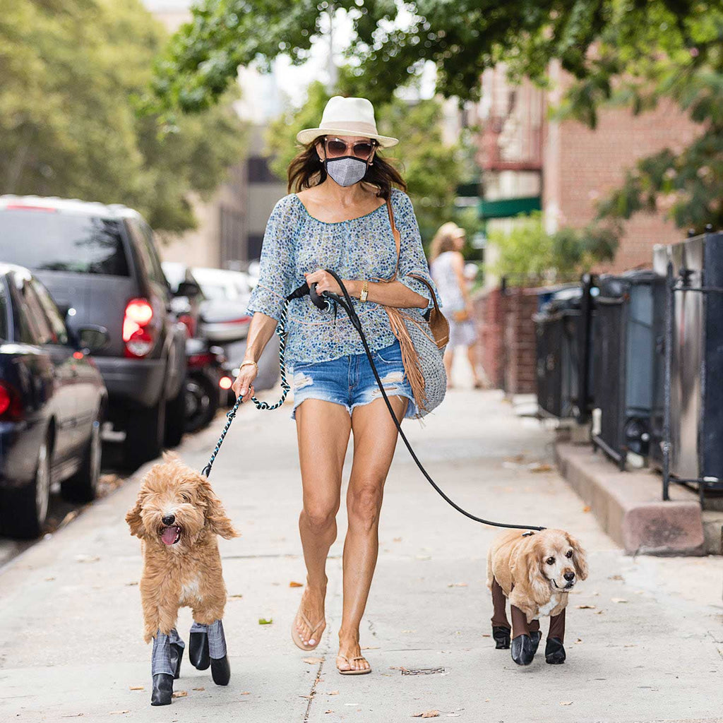 Lisa & her 2 dogs wearing WP Boot Leggings.
