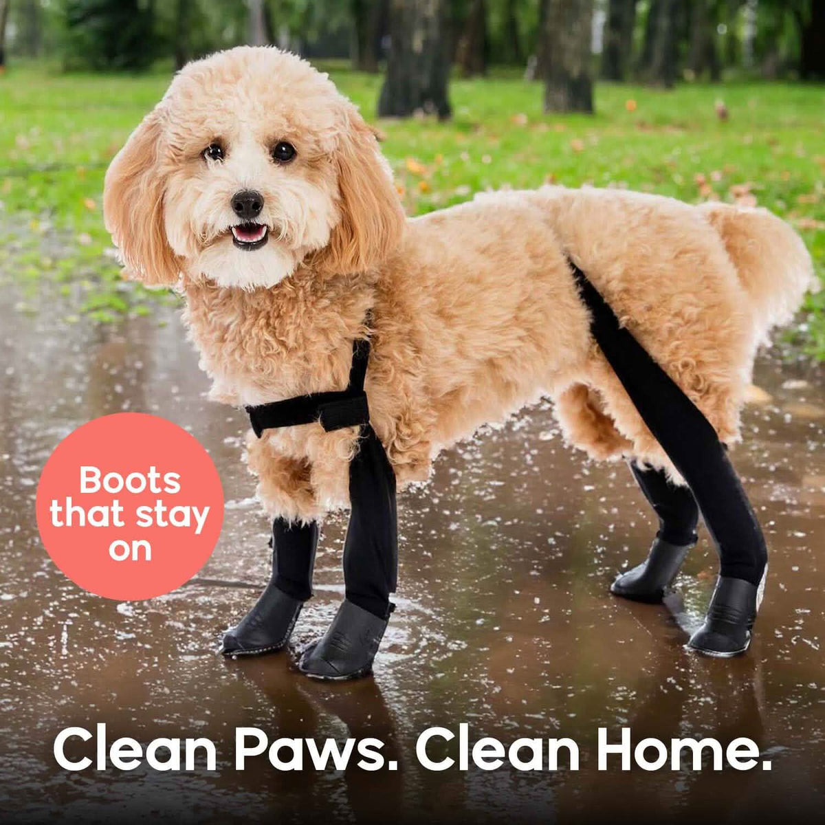 Best Suspender Dog Boot Leggings – Walkee Paws - Main Image