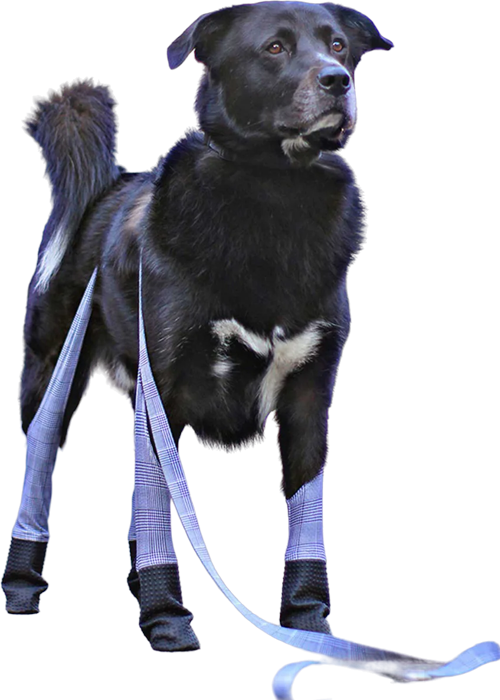 Alt image