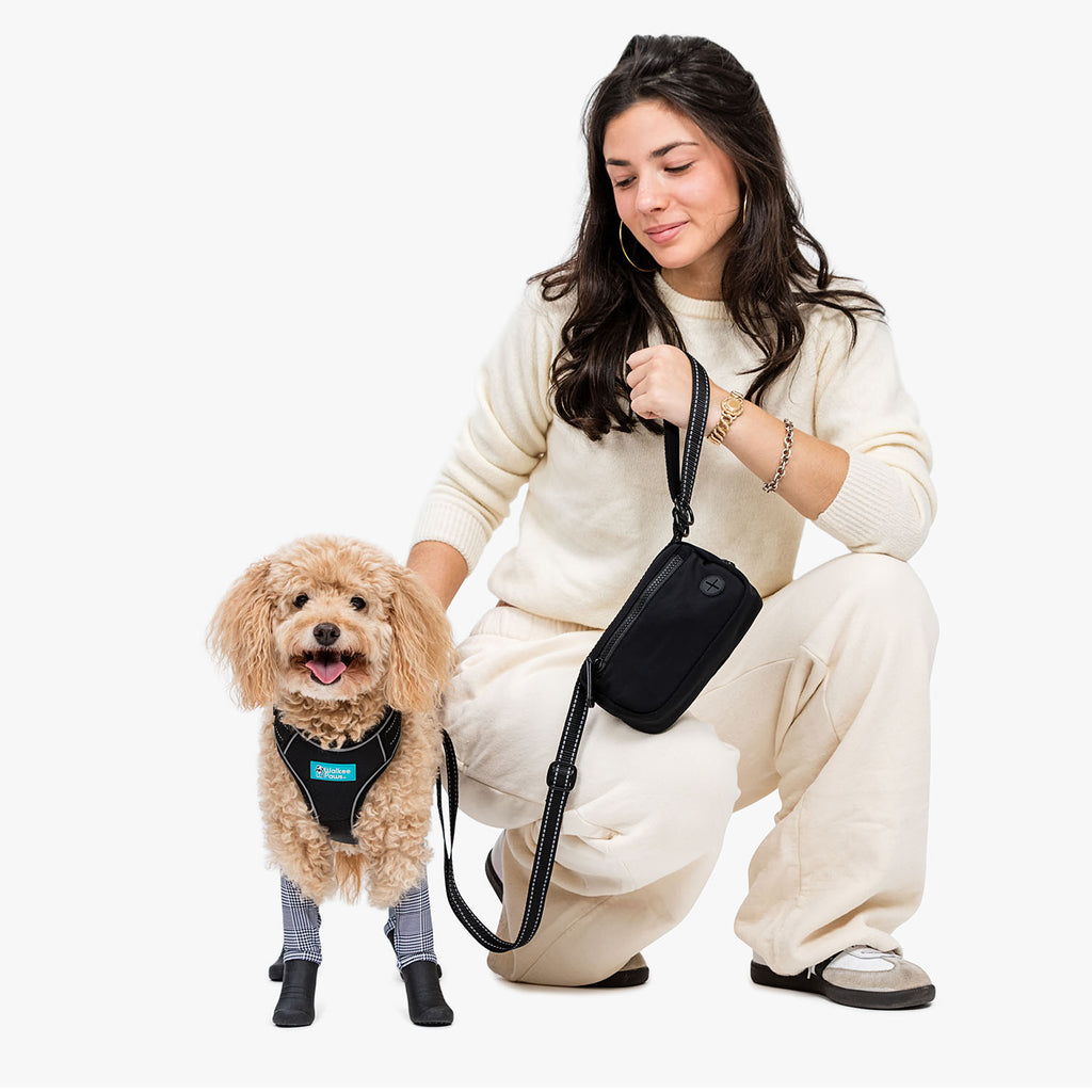 The ‘It’ Accessory for Fall: Introducing the Bag & Leash Combo