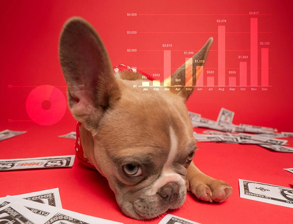 How to Make Money with Your Dog: Turning Your Furry Friend into an Influencer