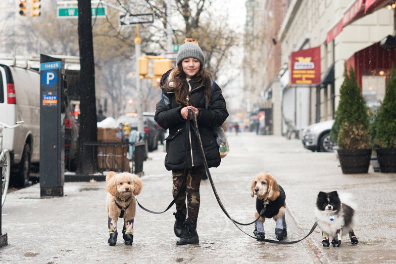 Dog Crocs vs. Dog Boot Leggings: Why Boot Leggings Are the Superior Choice