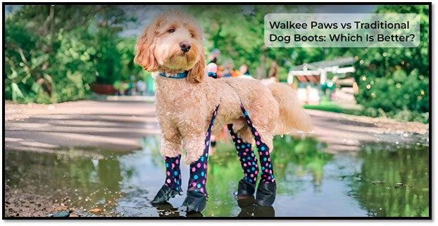 Walkee Paws vs Traditional Dog Boots: Which Is Better?