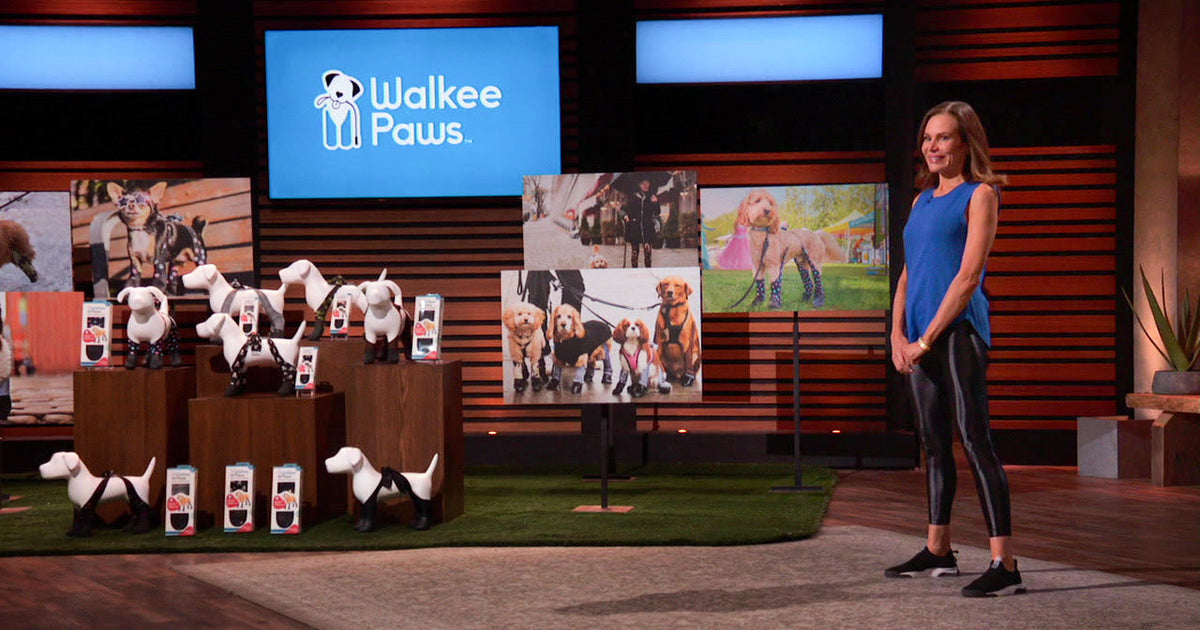 Walkee Paws Takes the Stage on Shark Tank