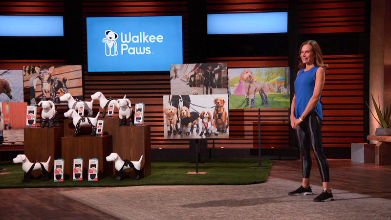 Walkee Paws Takes the Stage on Shark Tank