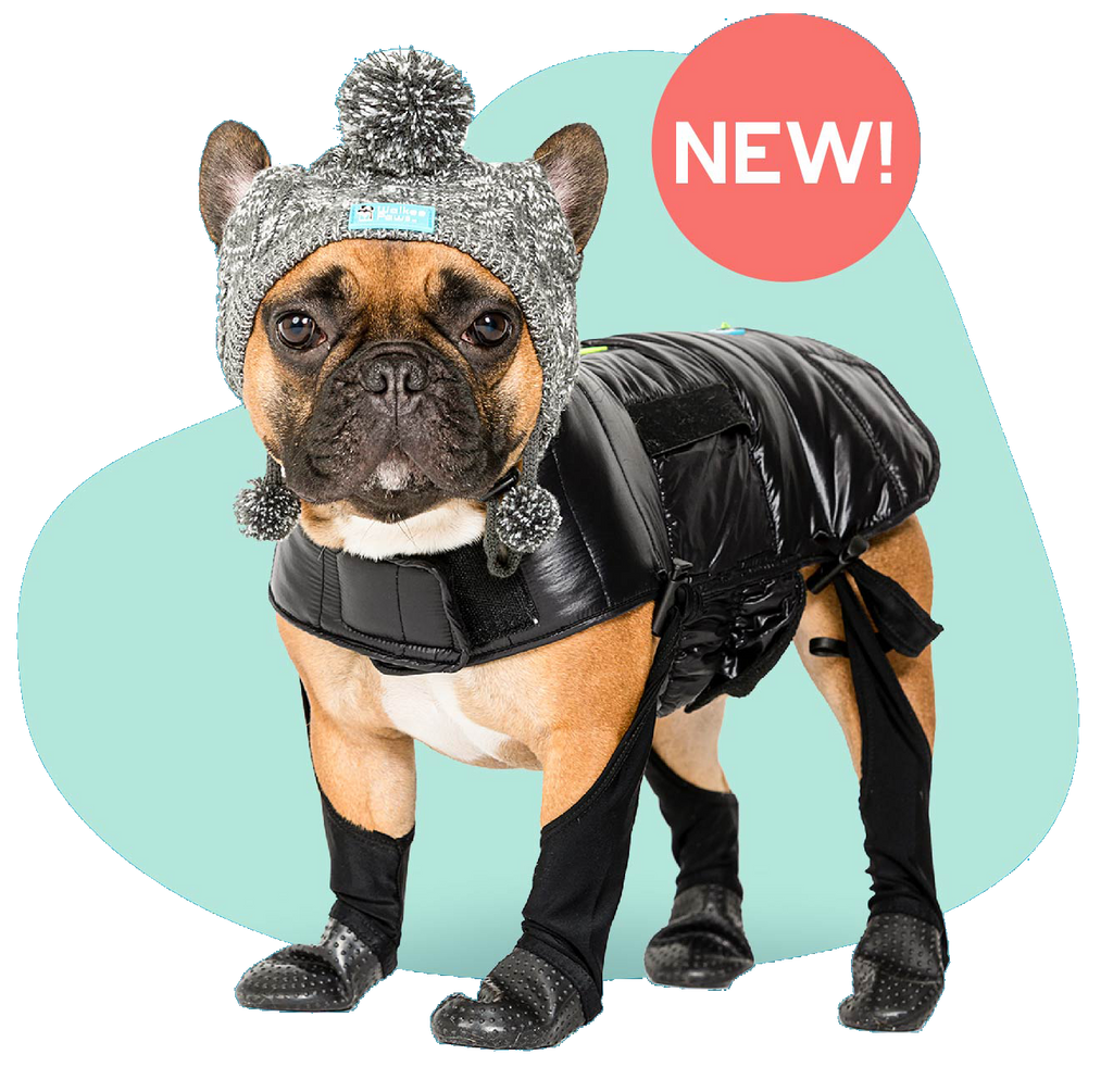 Dog coats with legs discount