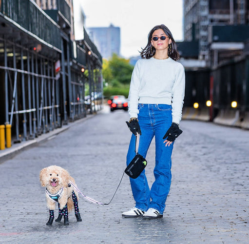 Your Winter Dog-Walking Essential: The Warm Walk Gloves!