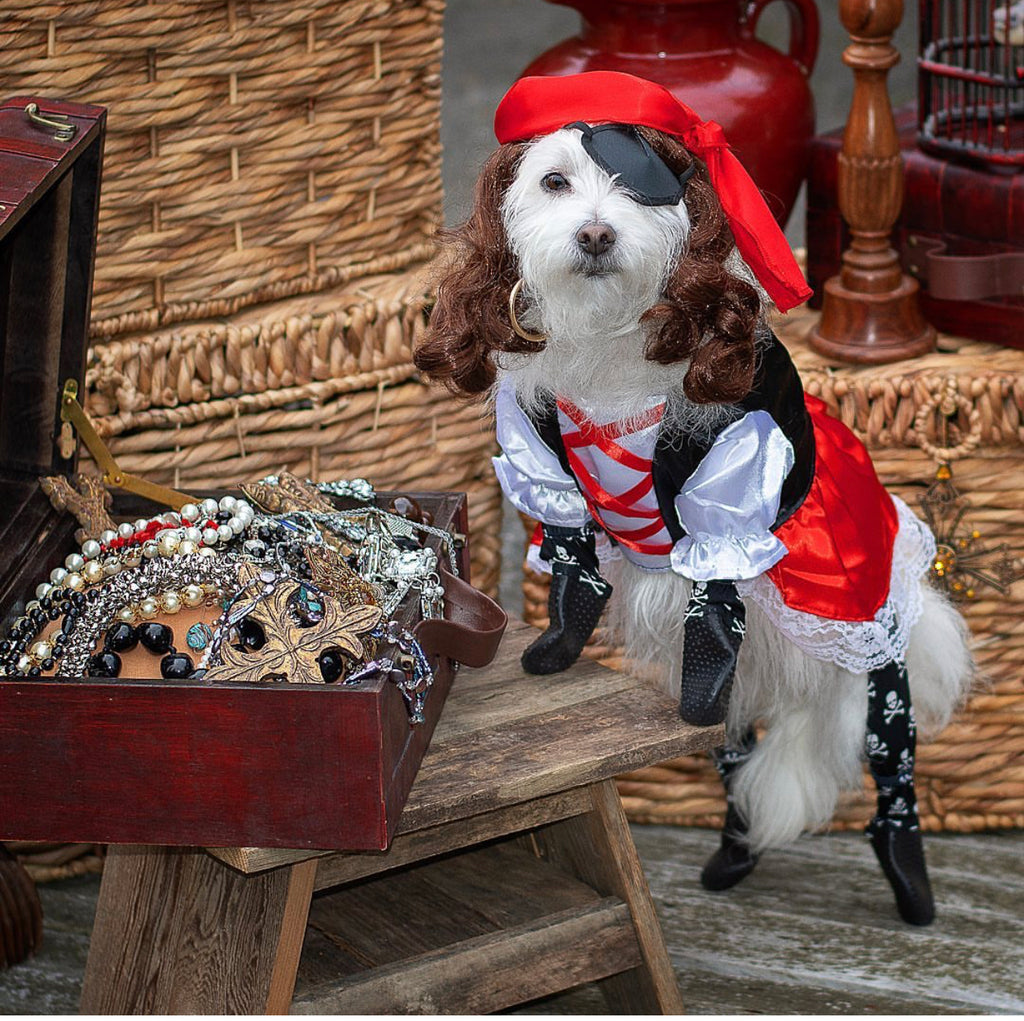 Happy Howl-oween: The Definitive Guide to Dressing Up Your Dog