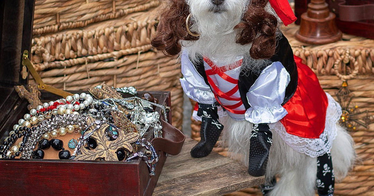 Happy Howl-oween: The Definitive Guide to Dressing Up Your Dog