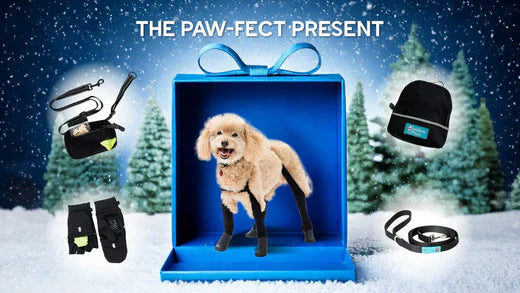 The Top 7 Paw-some Holiday Gifts for Dog Lovers