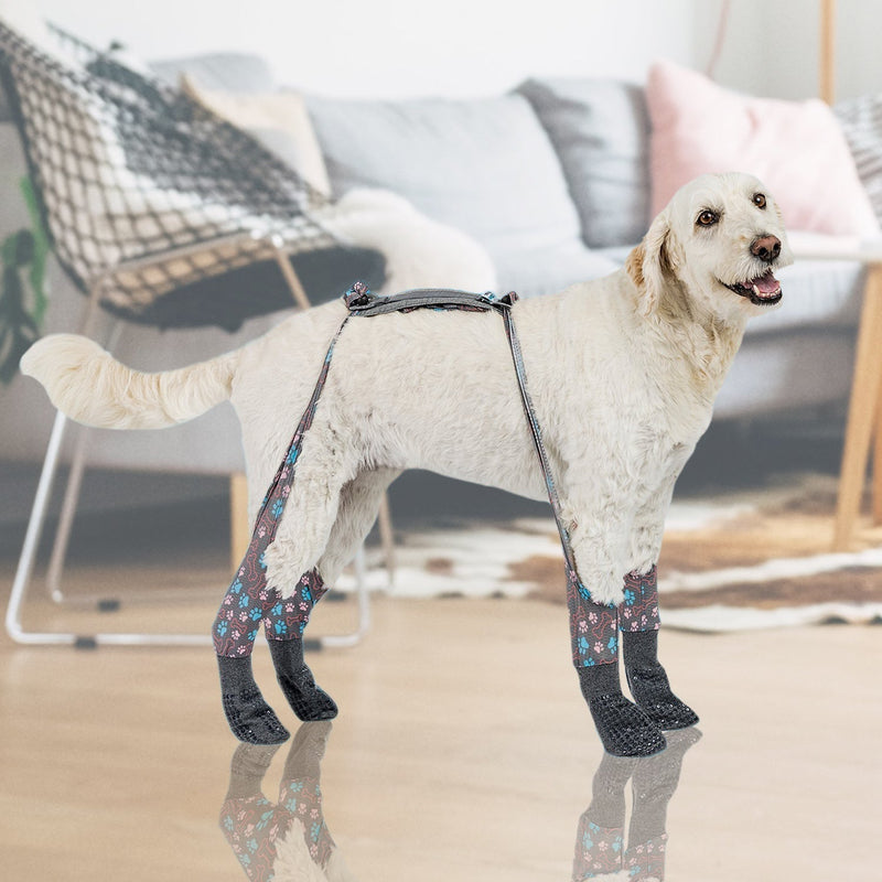 Senior Dog Slipping on Floor? Tips to Improve Traction and Keep Them Safe
