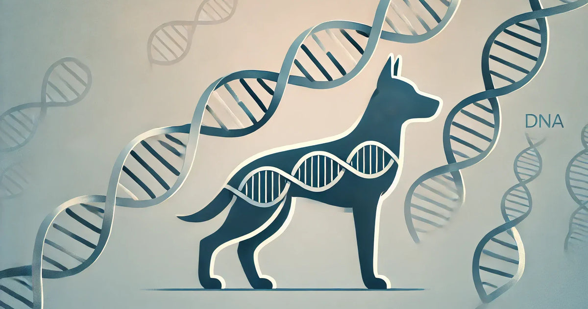 Doggy DNA: What Your Dog’s Genetic Makeup Can Tell You About Their Health