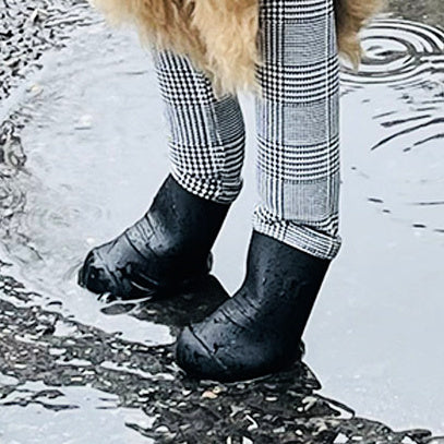 Keep Your Pooch’s Paws Dry with Dog Rain Boots