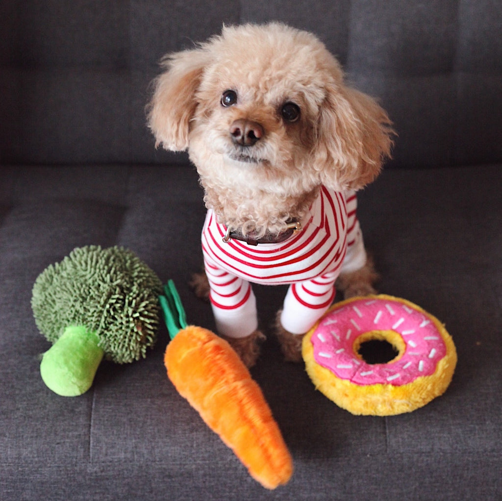 Superfoods for Dogs: Boost Your Pup's Health with These Nutrient-Packed Foods