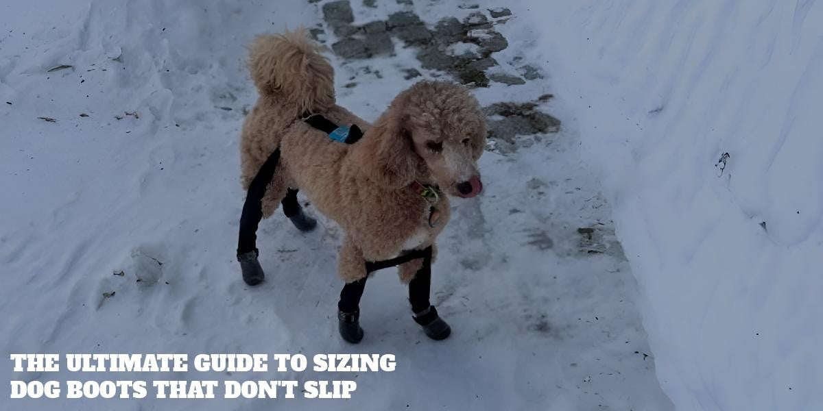 The Ultimate Guide to Sizing Dog Boots That Don't Slip