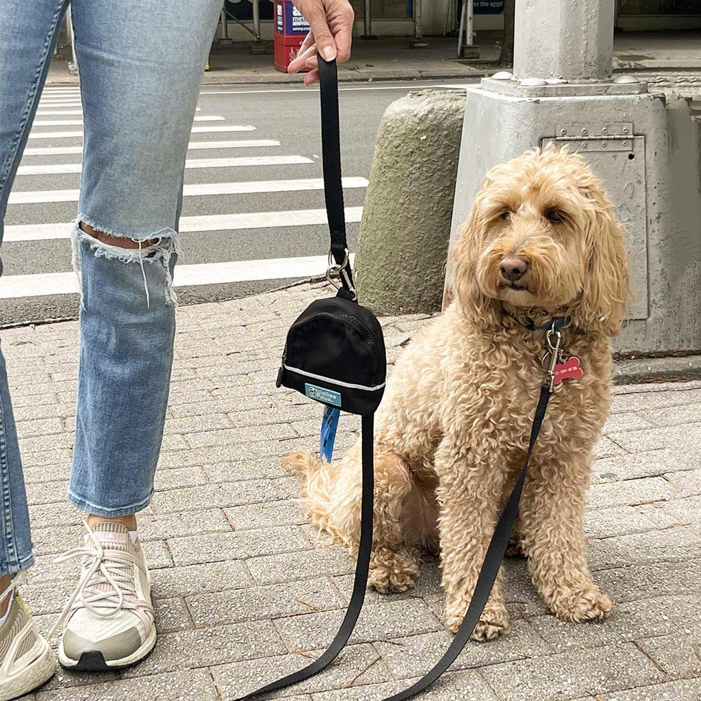 Attach to leash for worry-free walks.