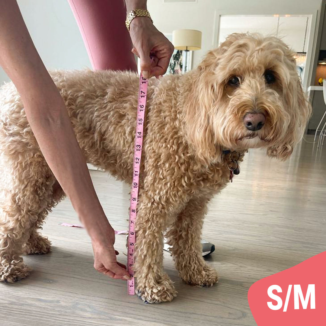 Walkee Paws Size Chart Product Sizing Guide for Your Dog