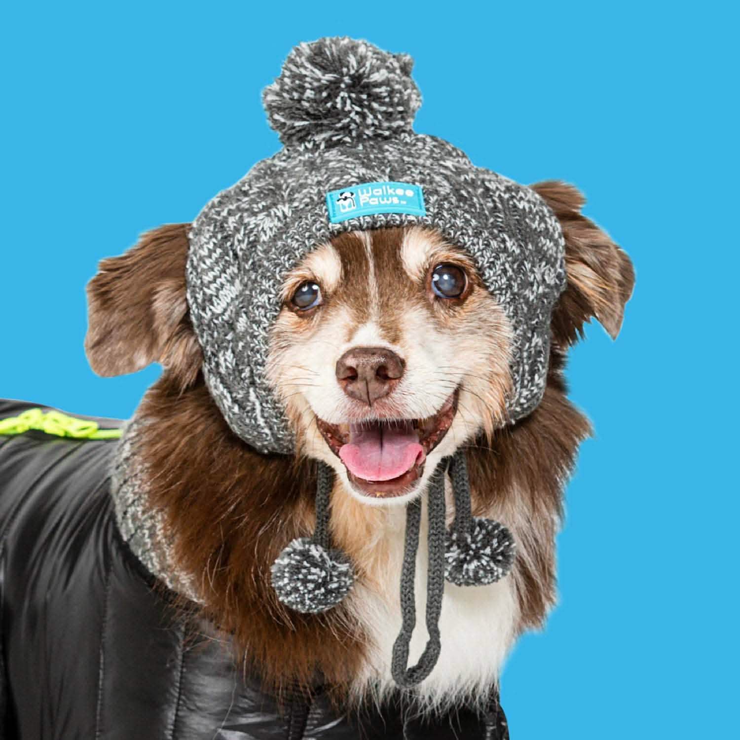 Winter Pom Pom Dog Hat – Walkee Paws - Main Image