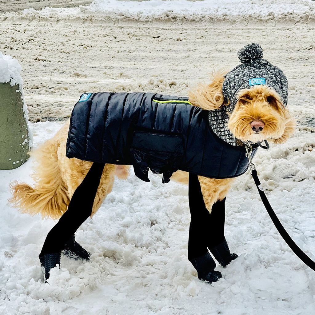 Stir Fry the Mini Goldendoodle is wearing size M in our Deluxe Puffer Coat, Attachable Boot Leggings, & Pom Hat.