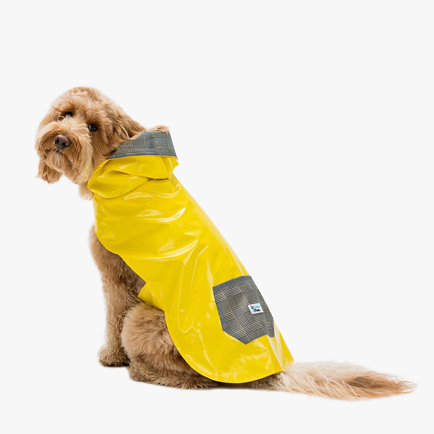 M Size Dog Clothes For Big Dogs Raincoat With Rain Cap And Pocket
