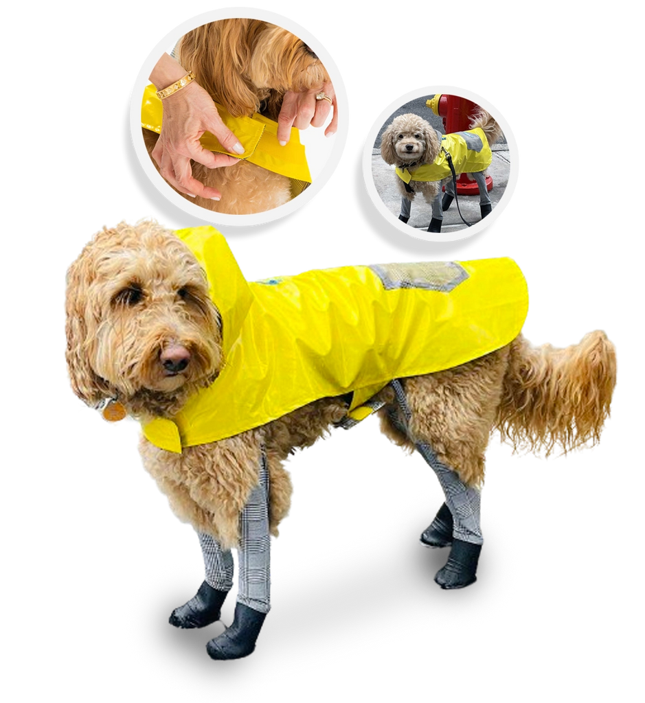 All- In-One Dog Boot Leggings  Never lose a dog boot again! – Walkee Paws