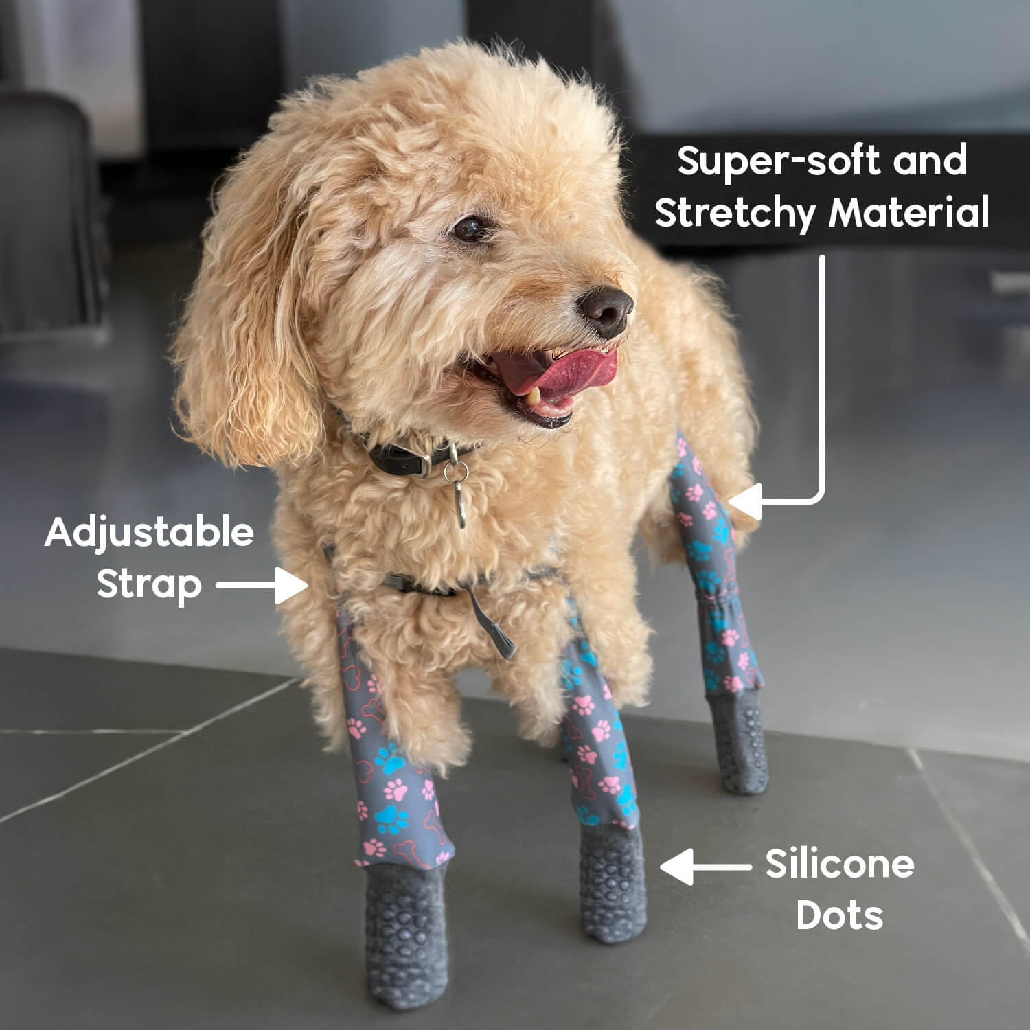 Stay-On Indoor Grippy Sock Dog Leggings