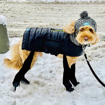 Winter Fleece-lined Dog Puffer Coat – Walkee Paws