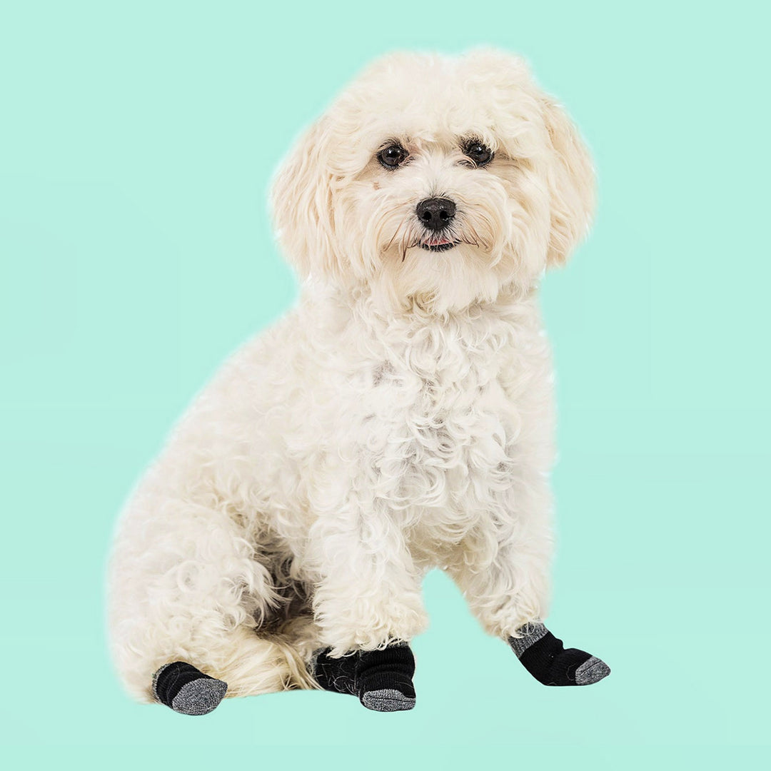 Dog Liner Socks – Walkee Paws