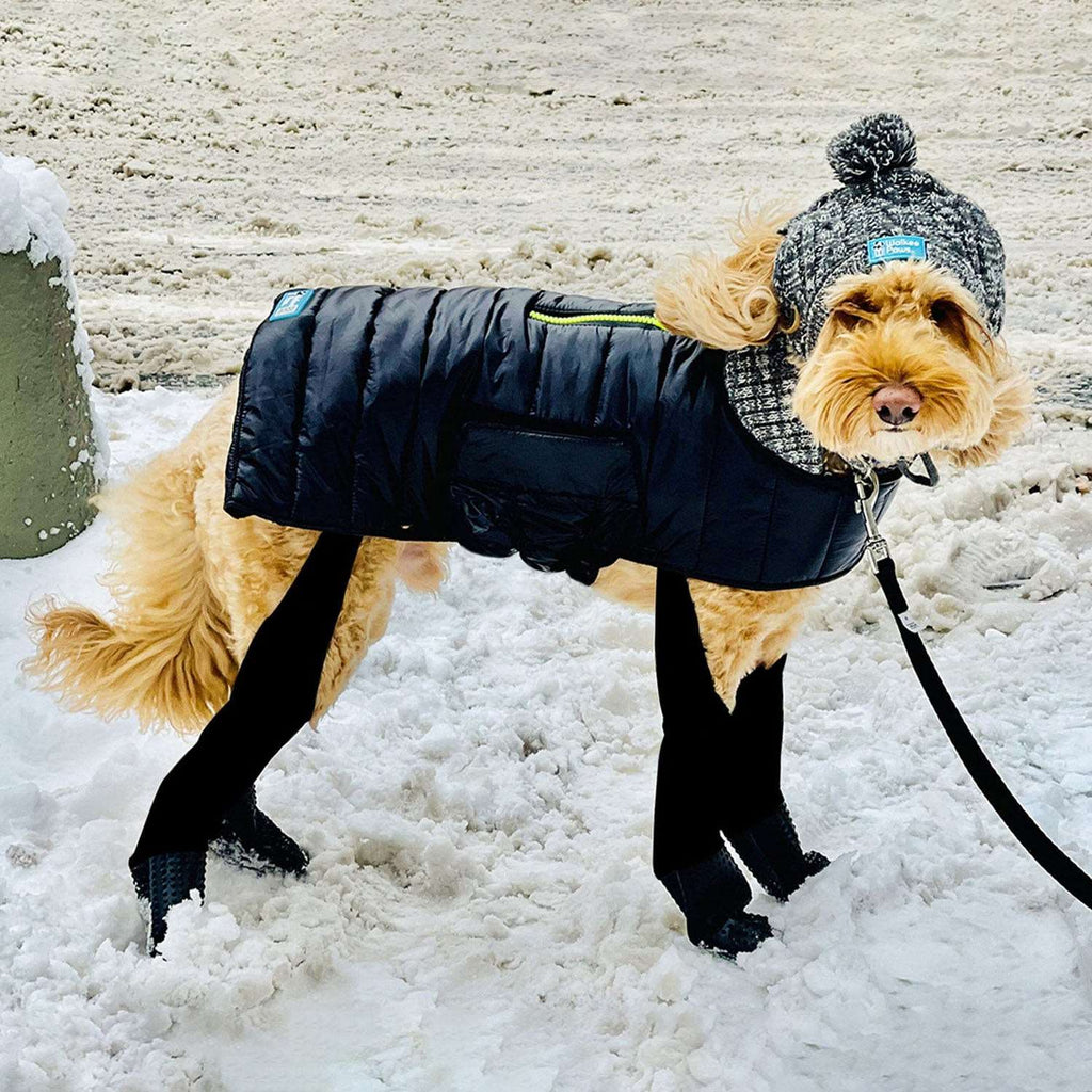 Stir Fry the Mini Goldendoodle is wearing size M in our Pom Hat, Puffer Coat, & Boot Leggings.