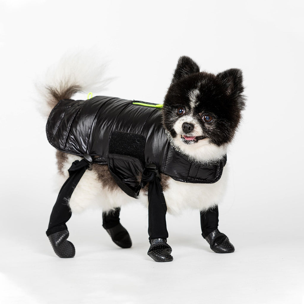 Momo the Pom is wearing size XS in our Deluxe Puffer Coat & Attachable Boot Leggings.