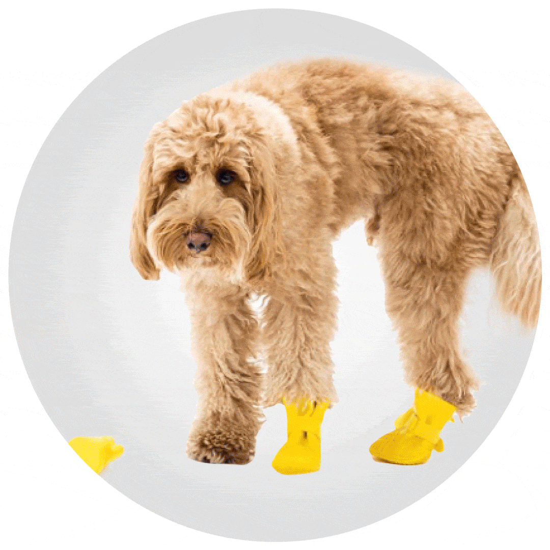 Walkee Paws The Better Dog Boot! Indoor & Outdoor Dog Leggings