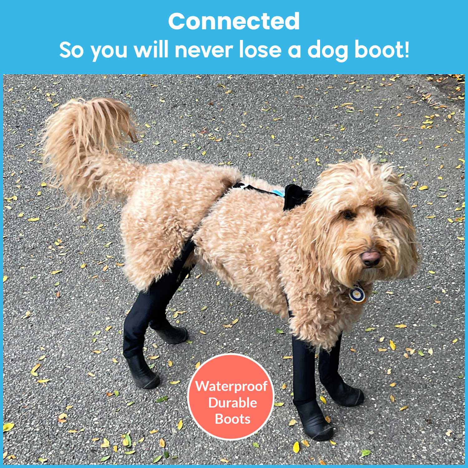 Waterproof Suspender Leggings Dog Boots Leggings With Suspenders - Waterproof Protective Pants For Outdoor Adventures Outdoor Dog Protection