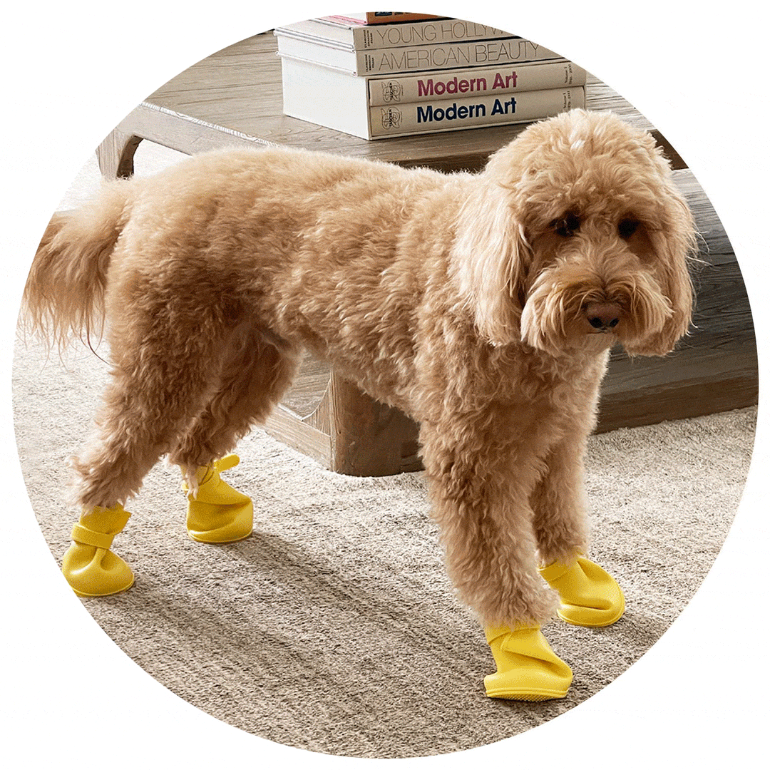 walkies dog boots