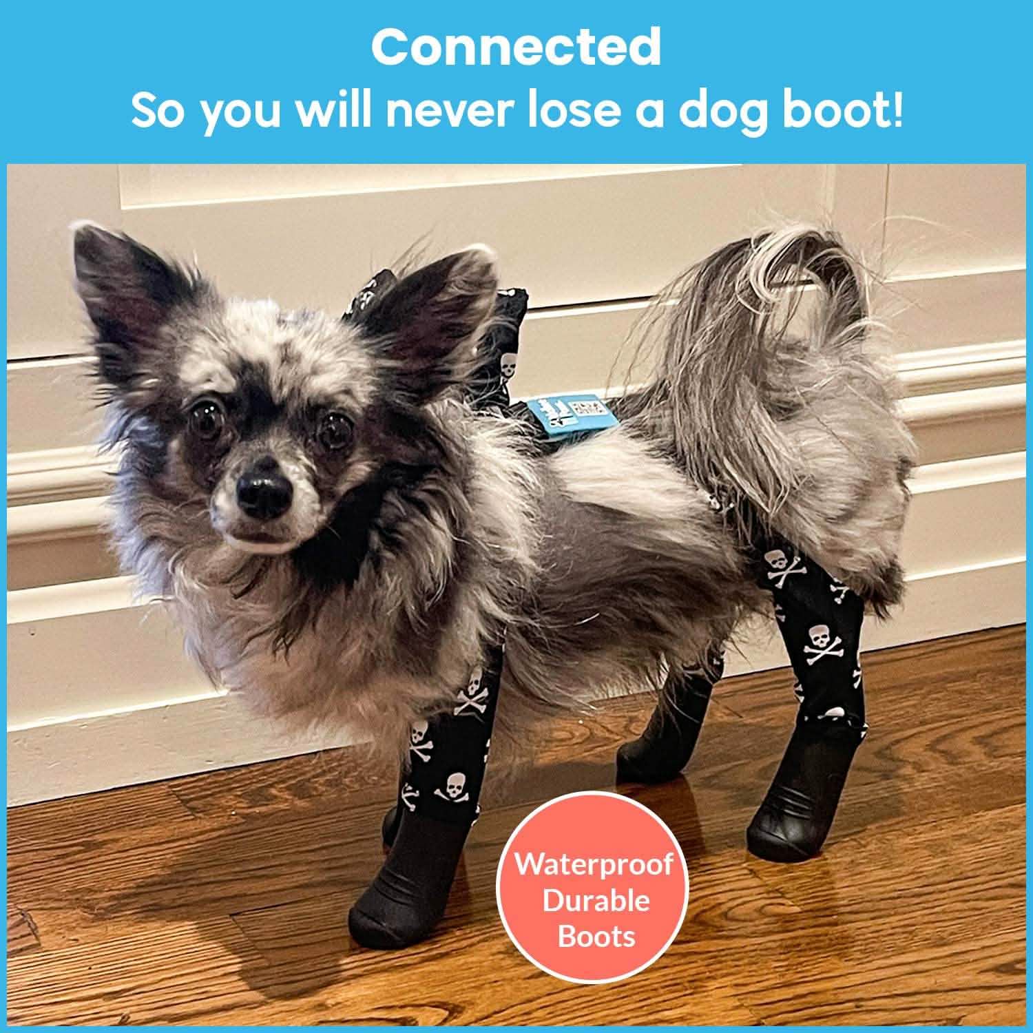 Dog Suspenders Boots Fashion Sale Walkee Paws - Main Image