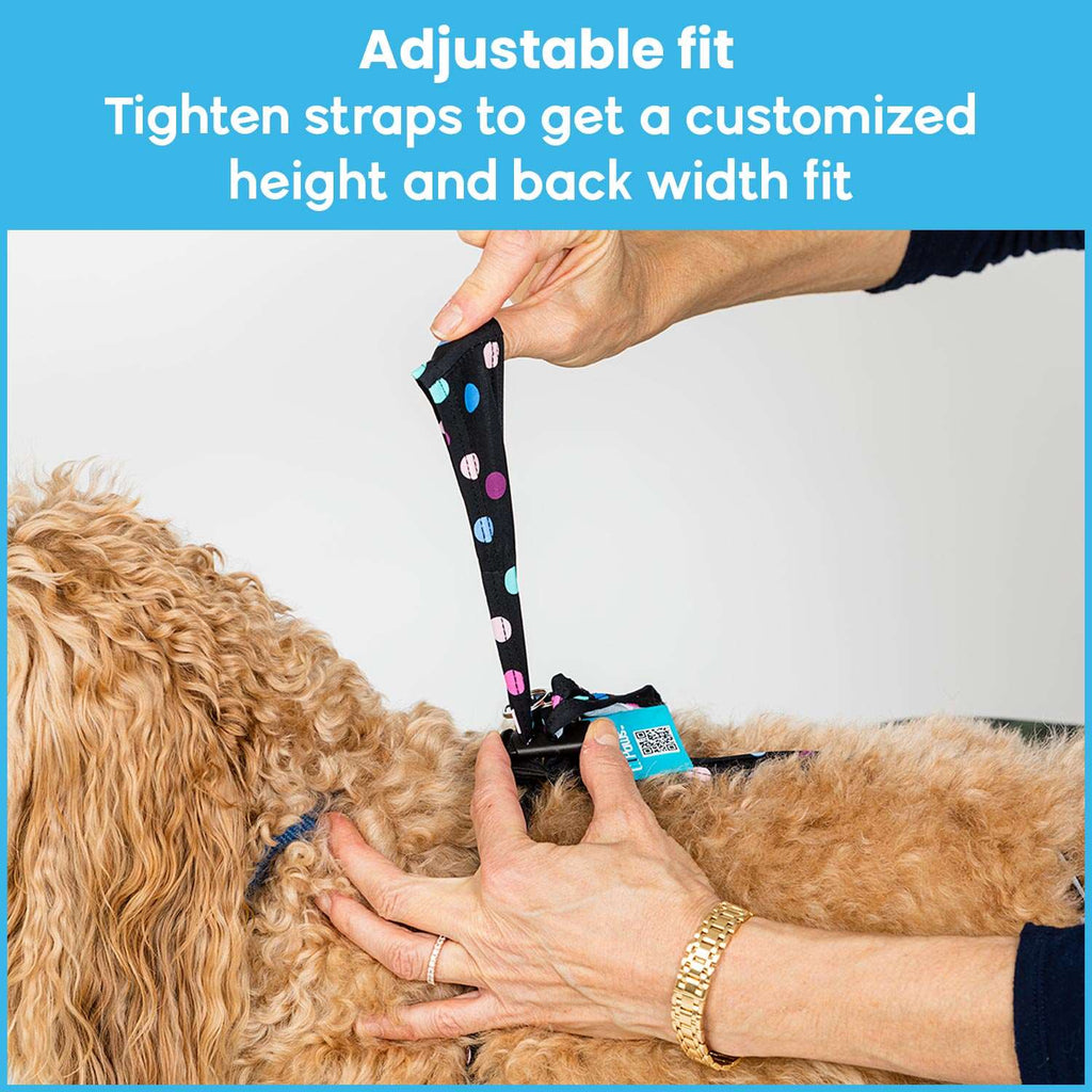 Customize for your dog's leg length and back width 