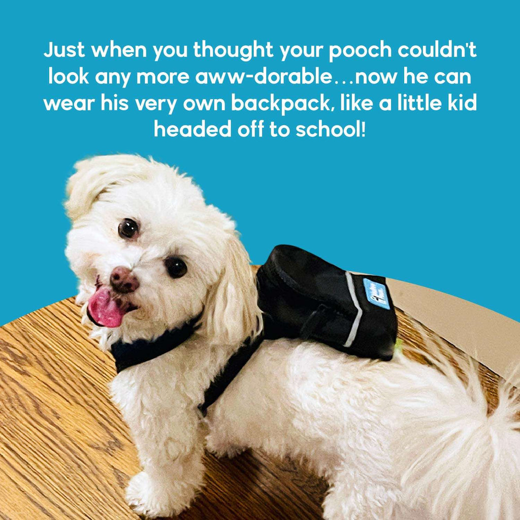 Velcro straps attaches to any harness.