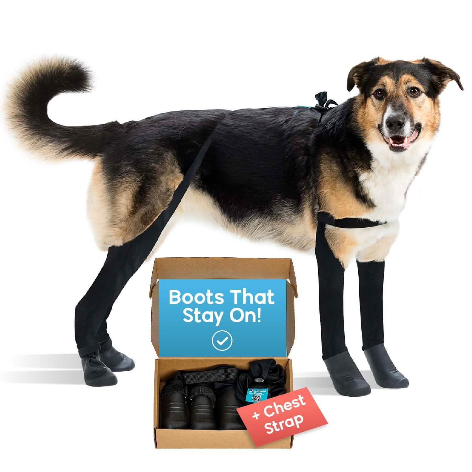 Best Suspender Dog Boot Leggings – Walkee Paws