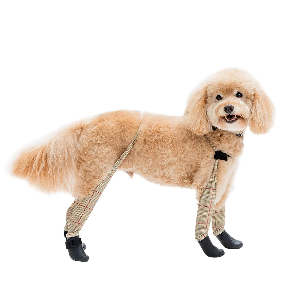 Deluxe Dog Boot Leggings