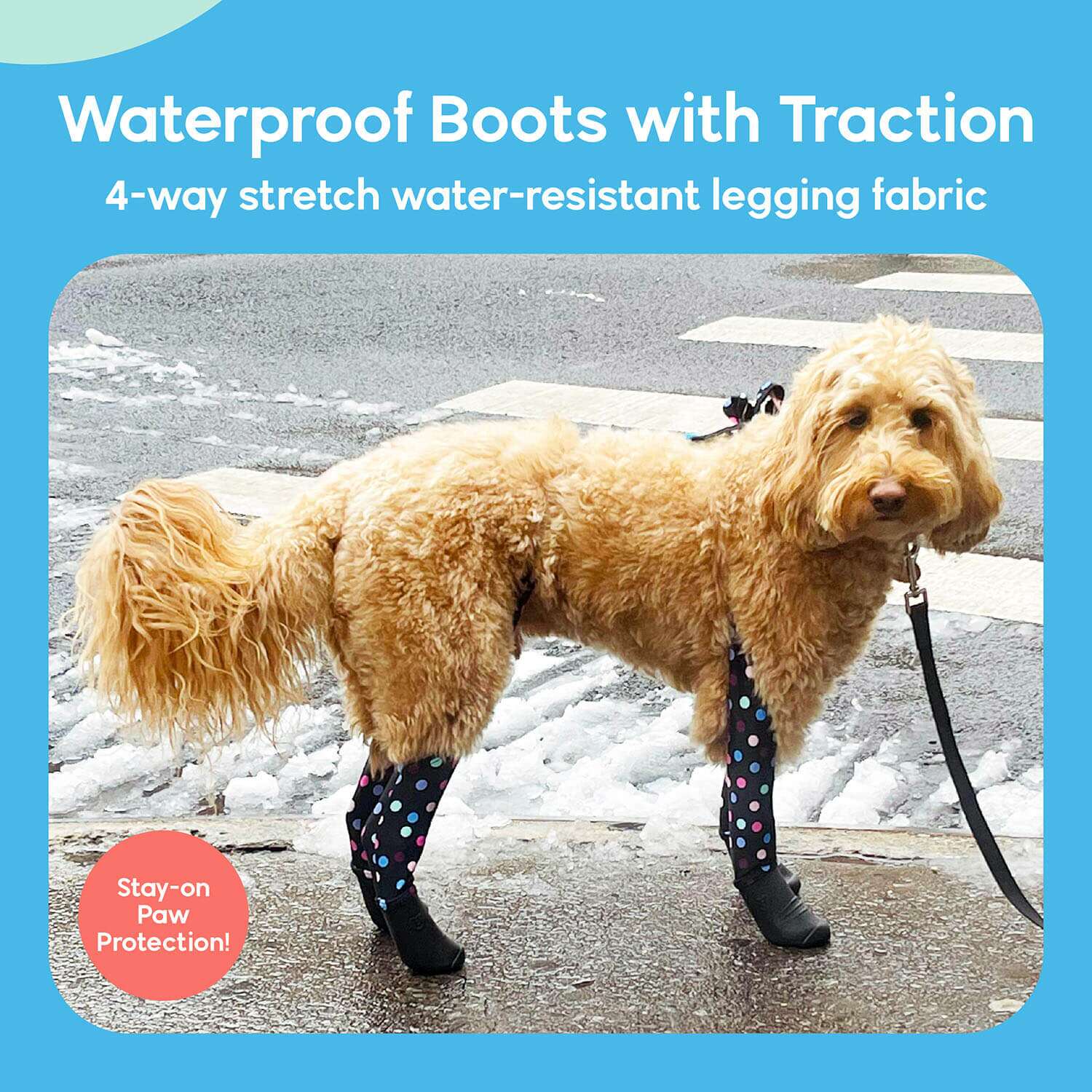 Dog Suspenders Boots Fashion Sale | Walkee Paws