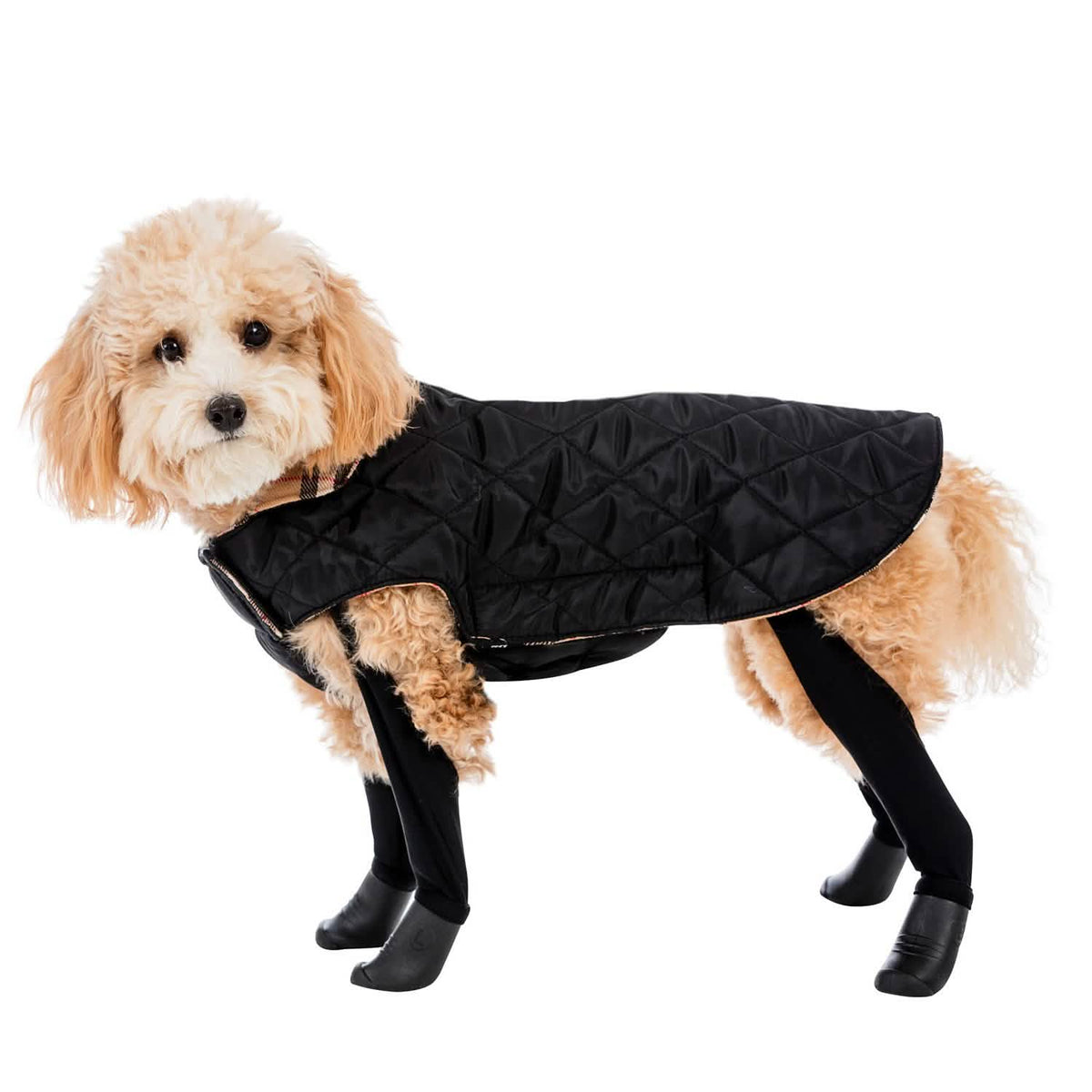 Reversible 2-in-1 Waterproof Dog Coat