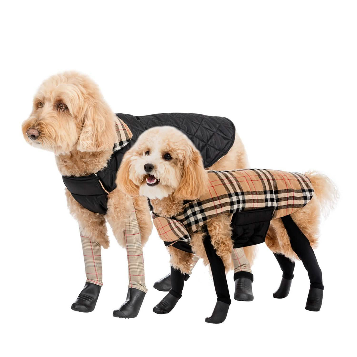 Reversible 2-in-1 Waterproof Dog Coat