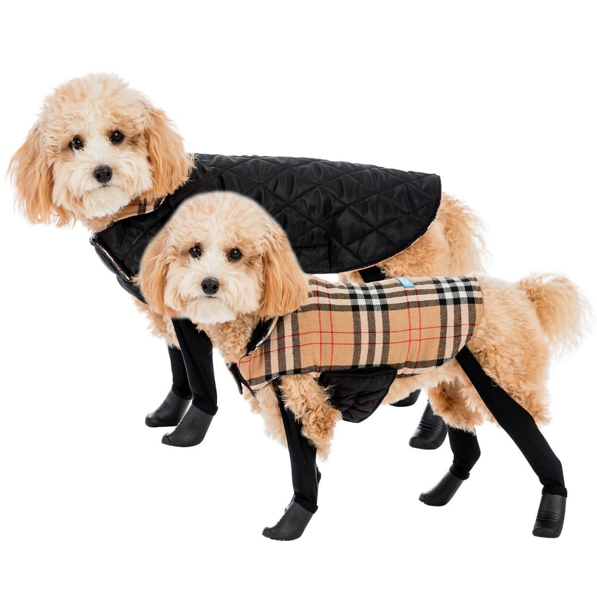 Reversible 2-in-1 Waterproof Dog Coat
