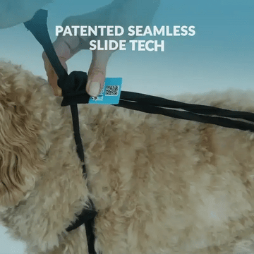 Patented seamless slide tech