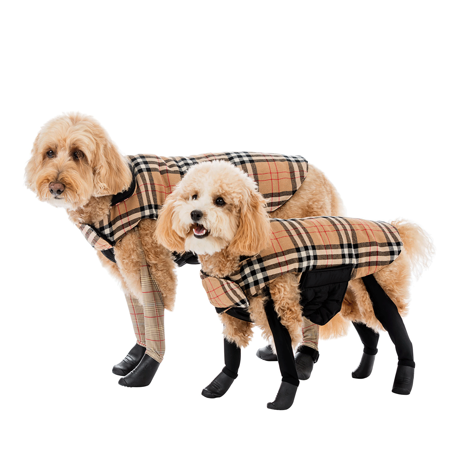 Reversible 2-in-1 Waterproof Dog Coat