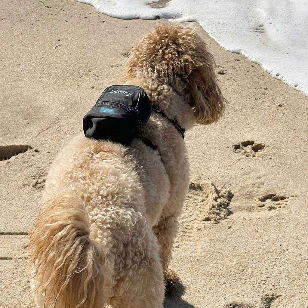 Stays on even after a breezy beach walk.
