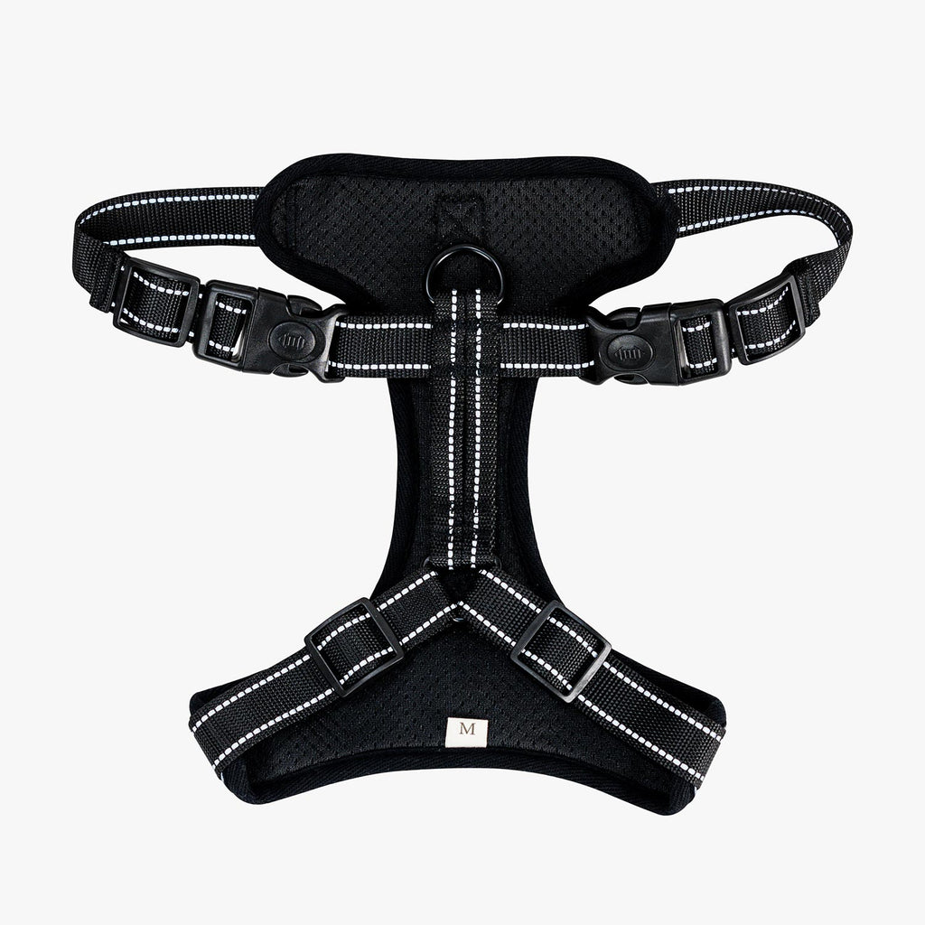 Secure & comfy harness.