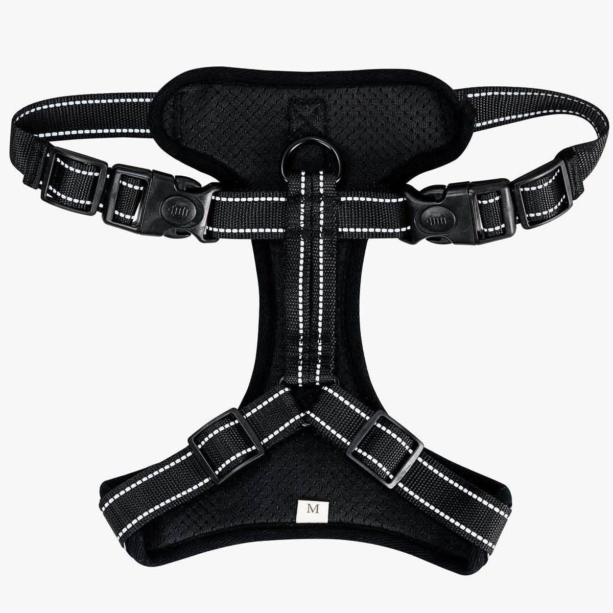 Chic & classy Harness!