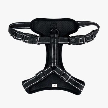 Chic & classy Harness!